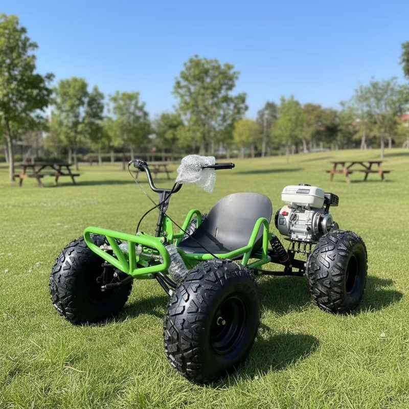 212CC 4-Takt Pedal-Go-Kart Auf – Outdoor Power And Pedal Bewertung und Preis