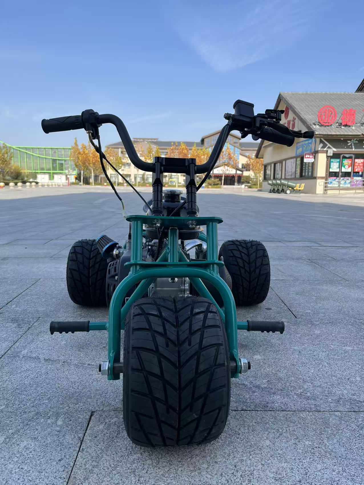OEM/ODM Neuer 212cc 4-Takt Auf – Outdoor Power And Pedal Bewertung und Preis