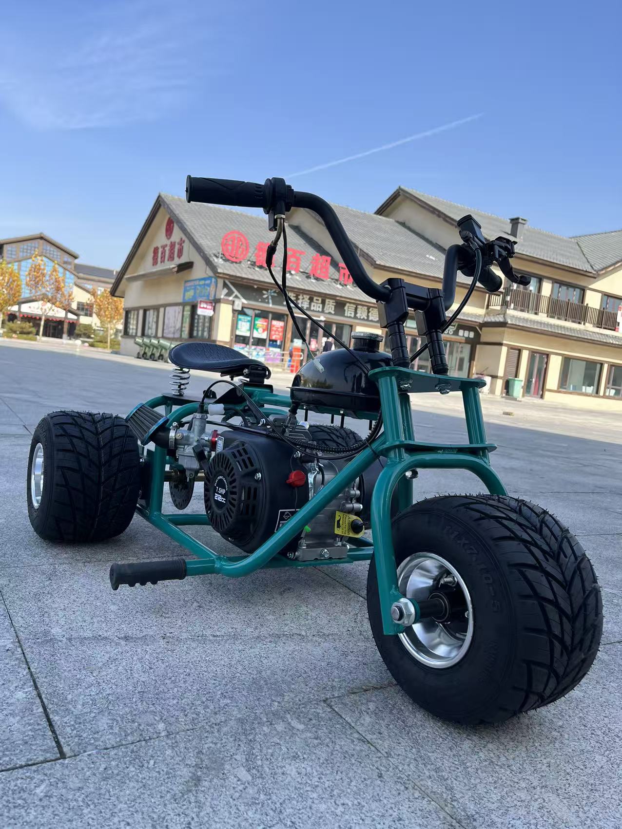 OEM/ODM Neuer 212cc 4-Takt Auf – Outdoor Power And Pedal Bewertung und Preis